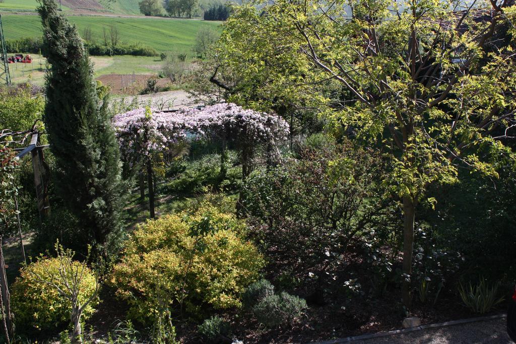 B&B La Casetta Villaromagnano Eksteriør billede